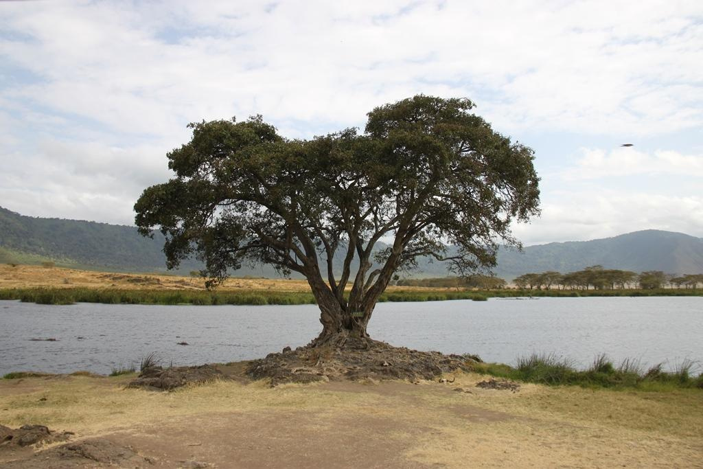 Ngorongoro Conservation Area. Andrey Filippov Photographer