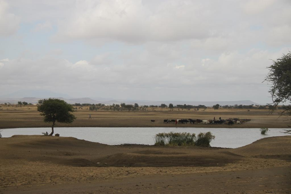 Tanzania. Andrey Filippov Photographer