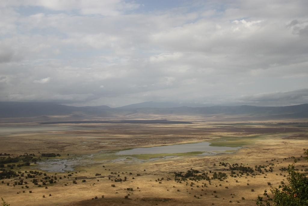 Ngorongoro Conservation Area. Andrey Filippov Photographer