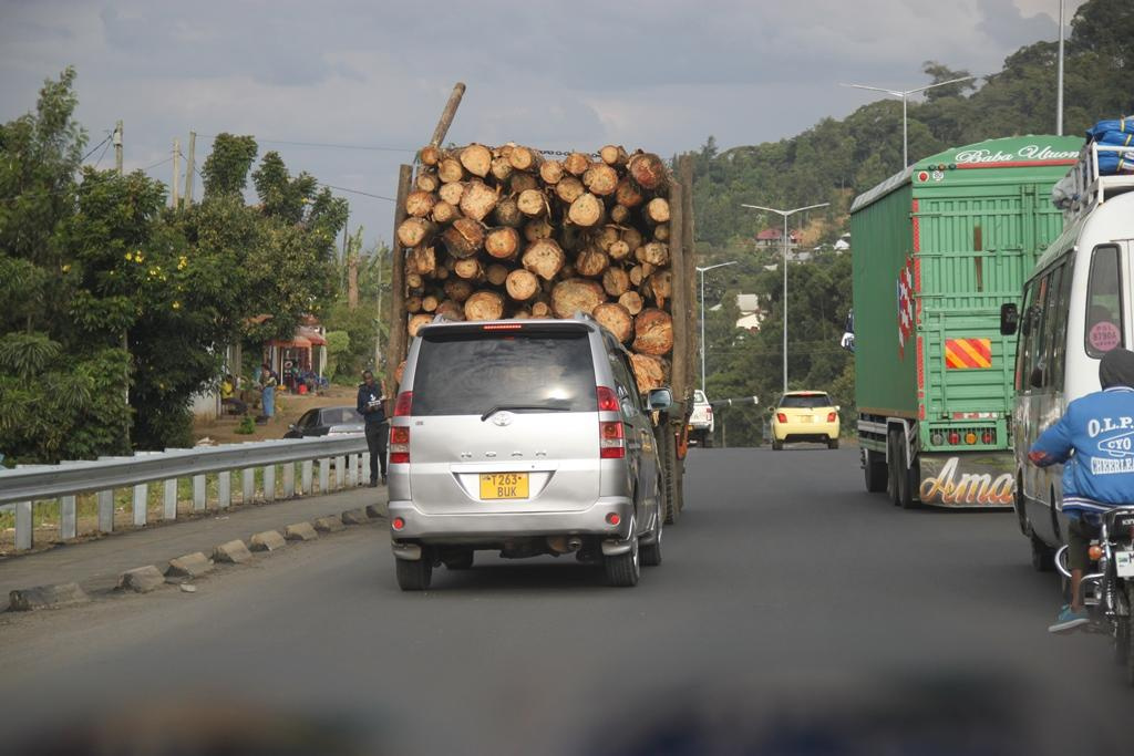 Tanzania. Andrey Filippov Photographer