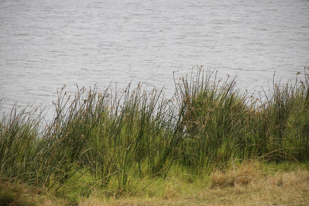 Ngorongoro Conservation Area. Andrey Filippov Photographer