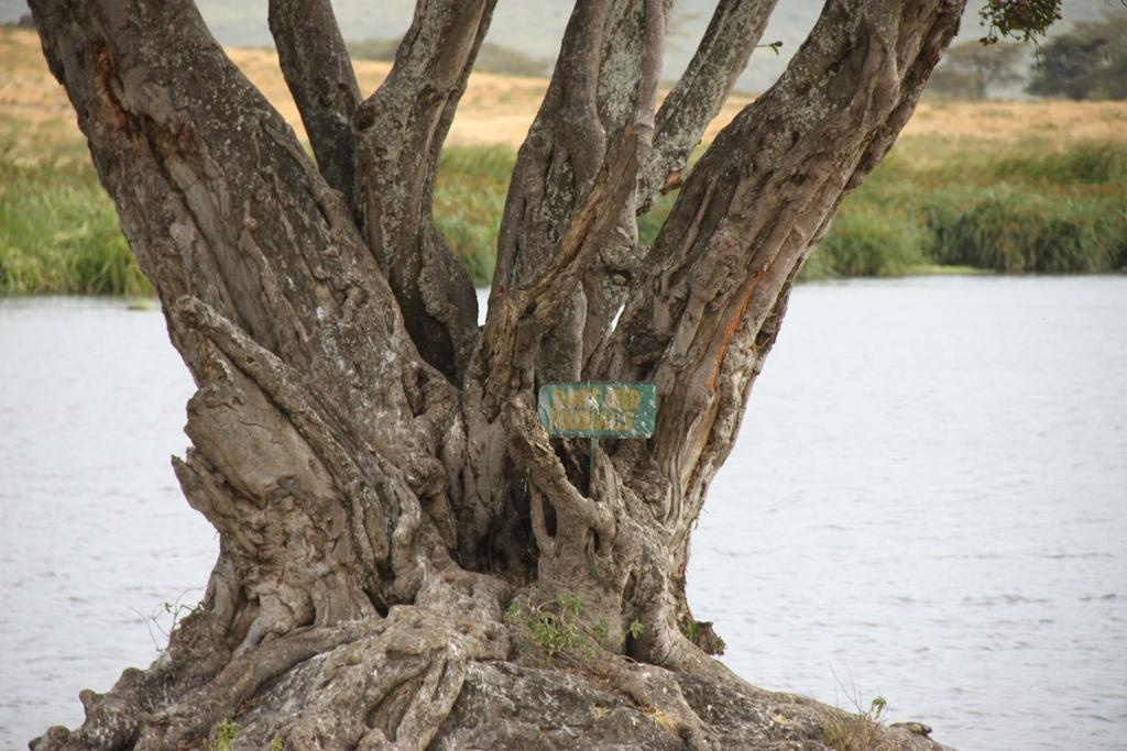 Ngorongoro Conservation Area. Andrey Filippov Photographer