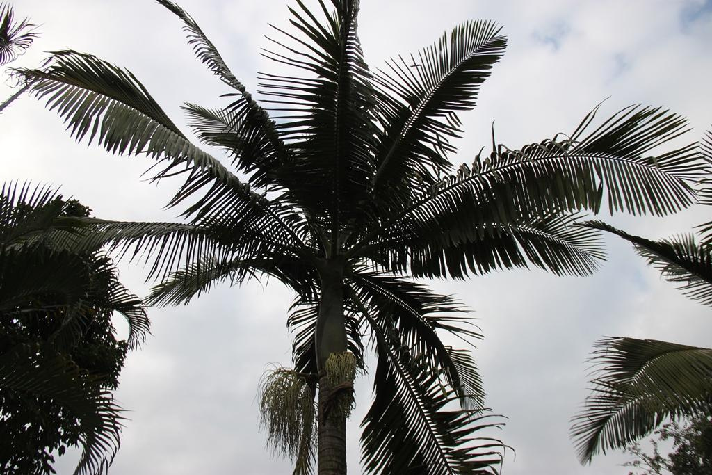 Tanzania. Andrey Filippov Photographer