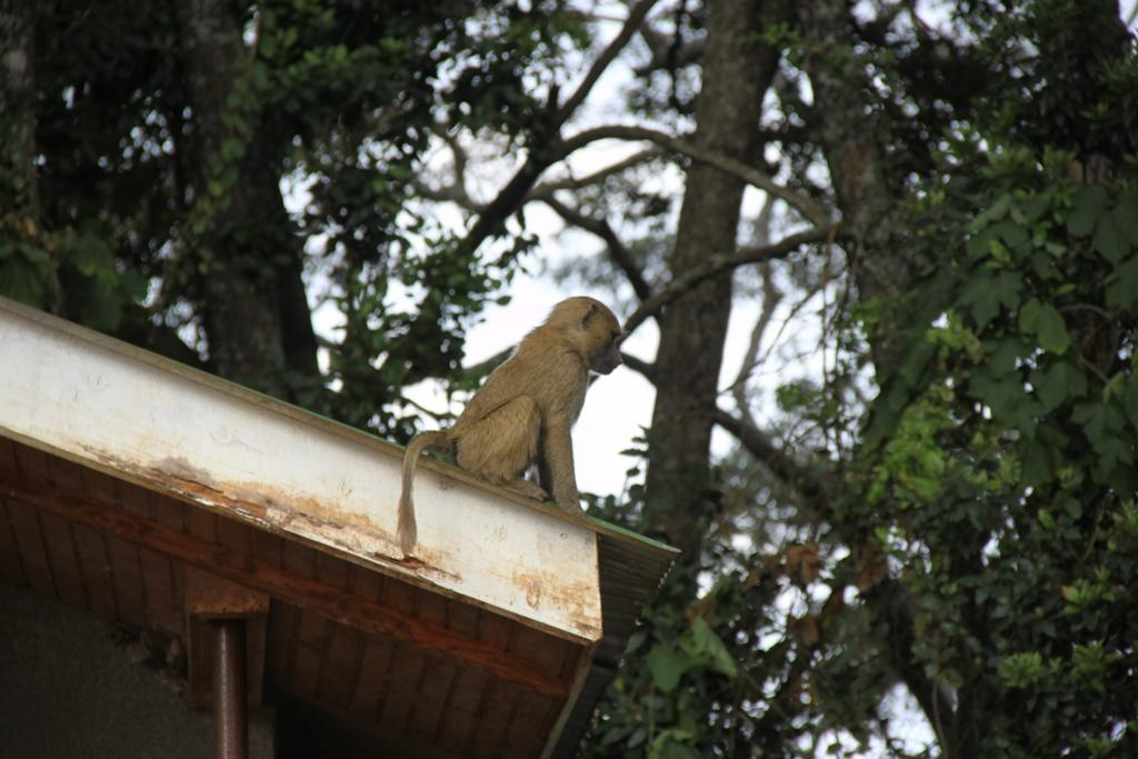 Ngorongoro Conservation Area. Andrey Filippov Photographer