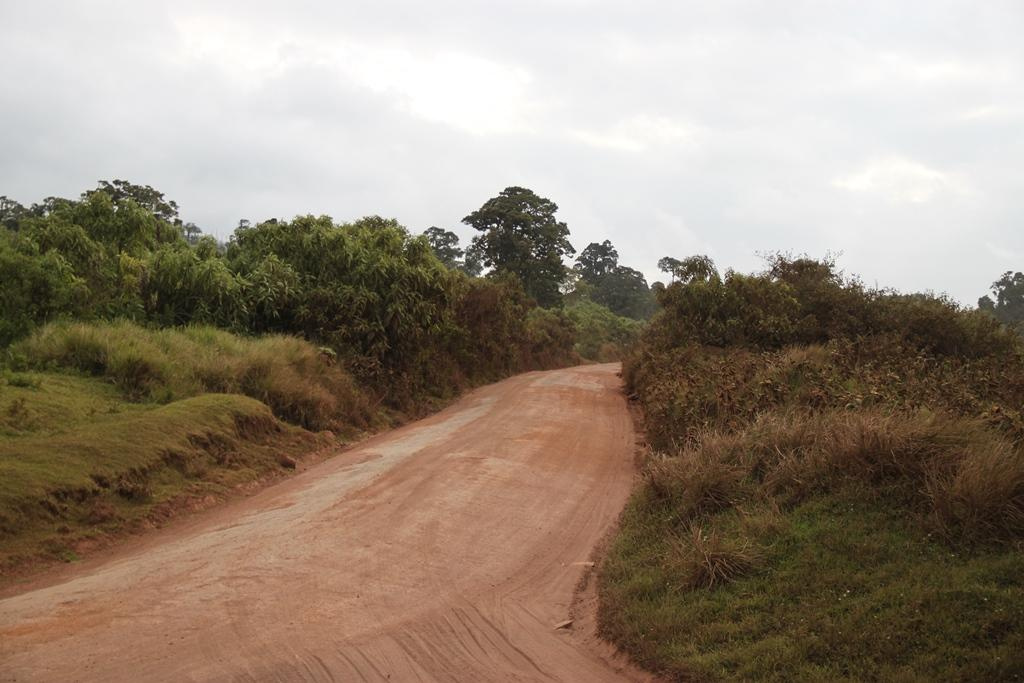 Ngorongoro Conservation Area. Andrey Filippov Photographer