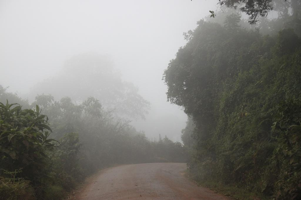 Ngorongoro Conservation Area. Andrey Filippov Photographer