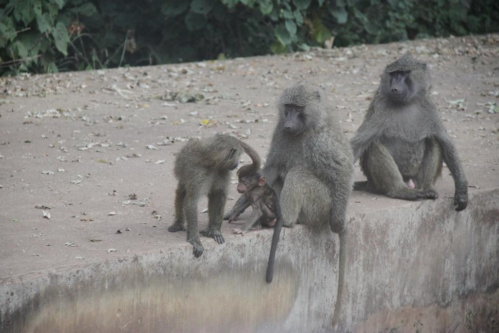 Ngorongoro Conservation Area. Andrey Filippov Photographer