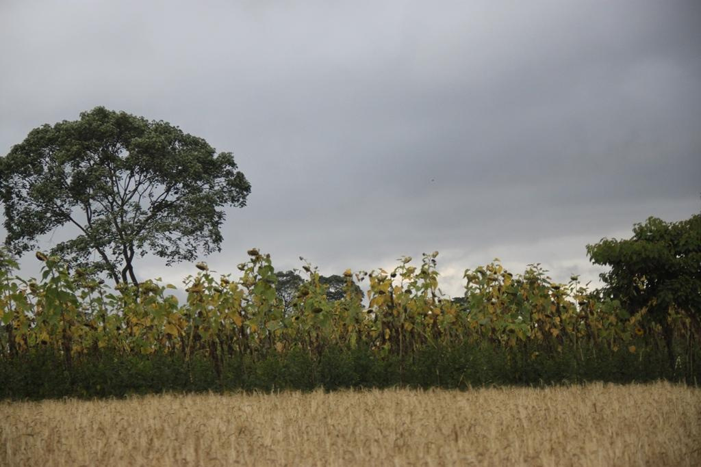 Tanzania. Andrey Filippov Photographer