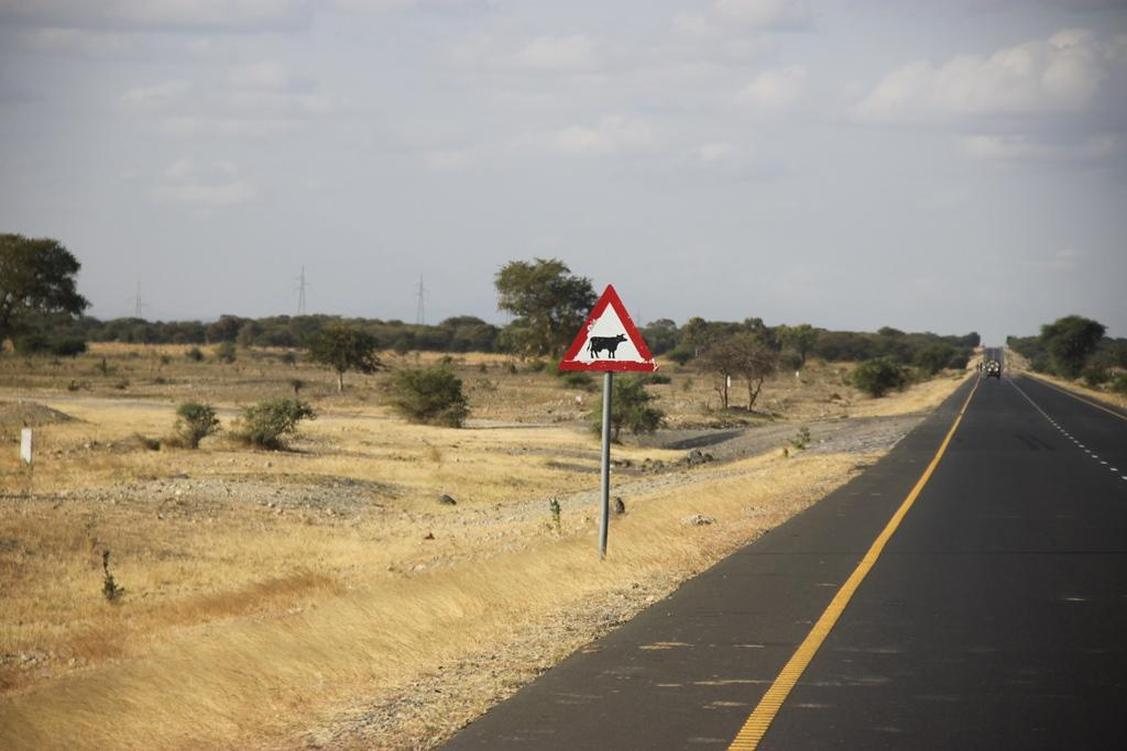 Tanzania. Andrey Filippov Photographer