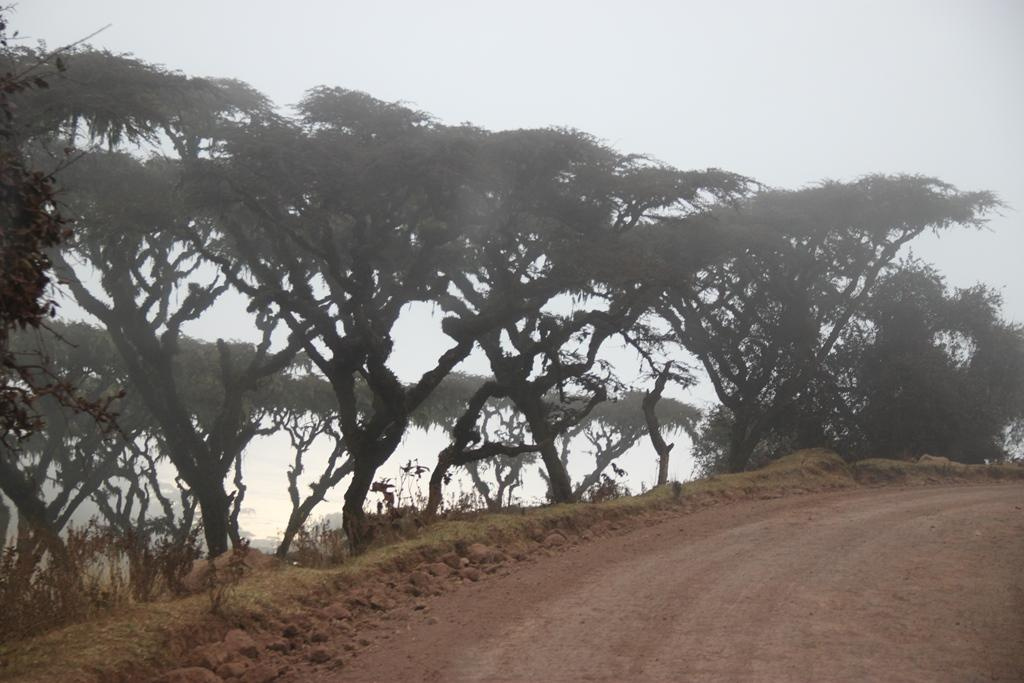 Ngorongoro Conservation Area. Andrey Filippov Photographer