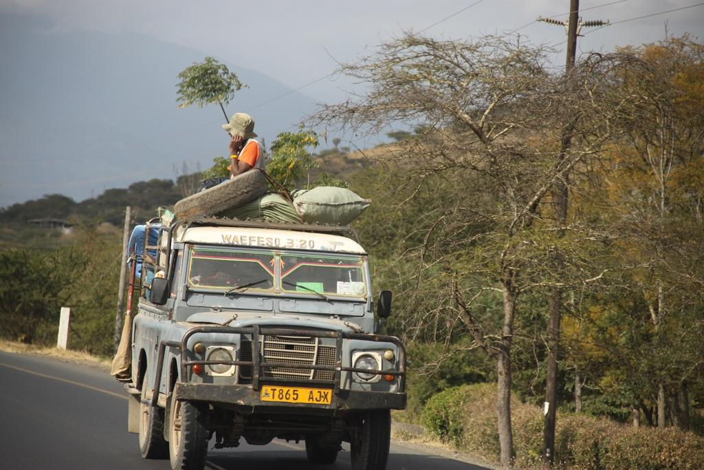 Tanzania. Andrey Filippov Photographer