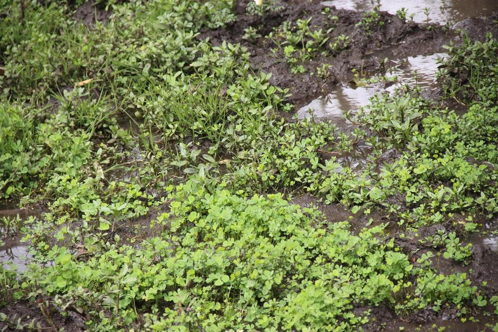 Ngorongoro Conservation Area. Andrey Filippov Photographer