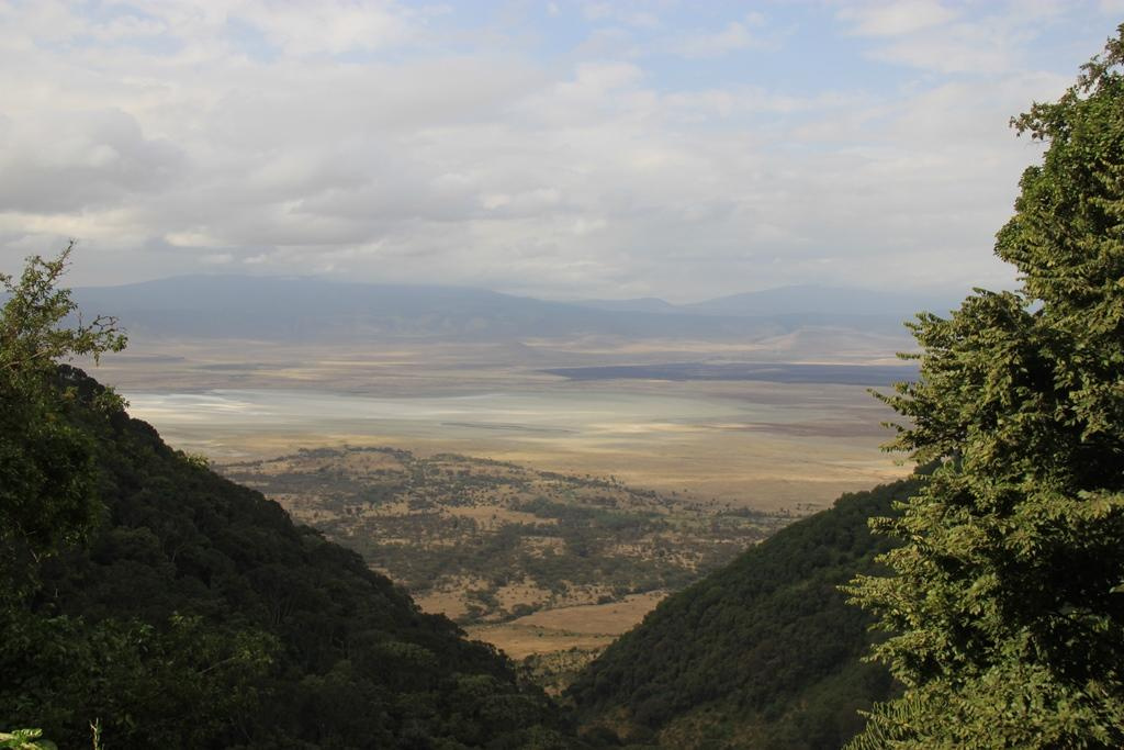 Ngorongoro Conservation Area. Andrey Filippov Photographer