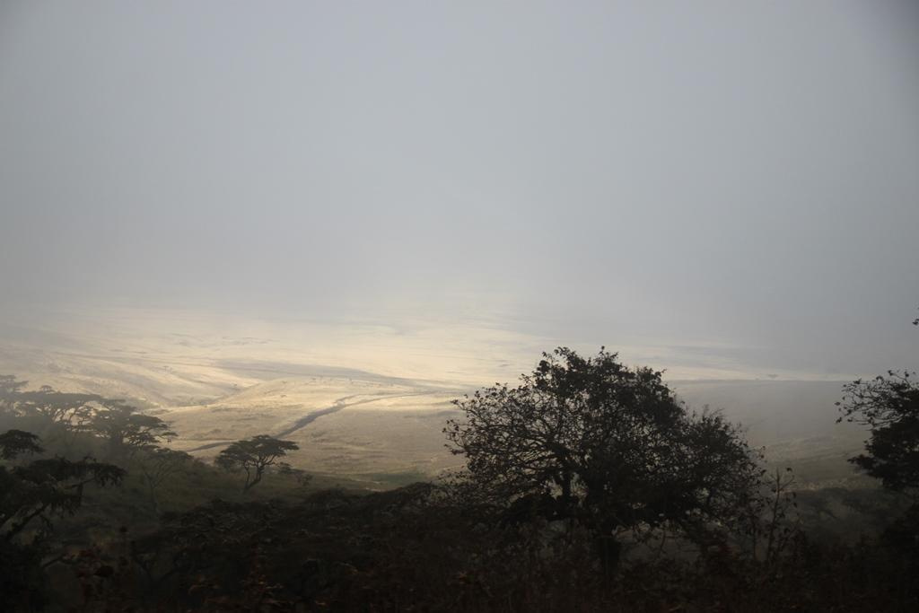 Ngorongoro Conservation Area. Andrey Filippov Photographer