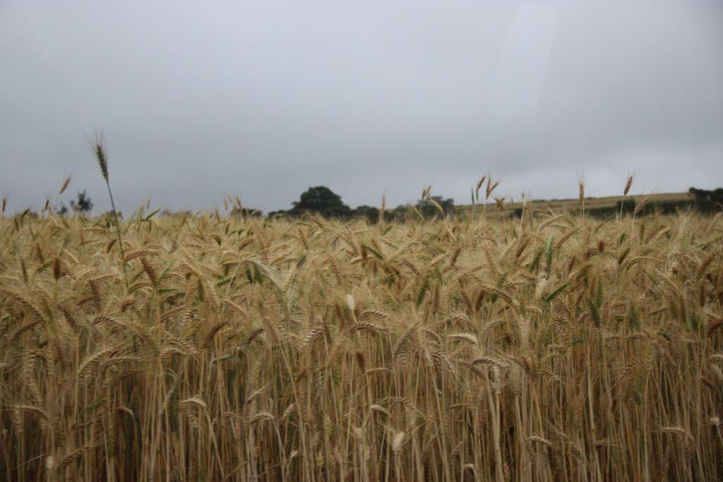 Tanzania. Andrey Filippov Photographer