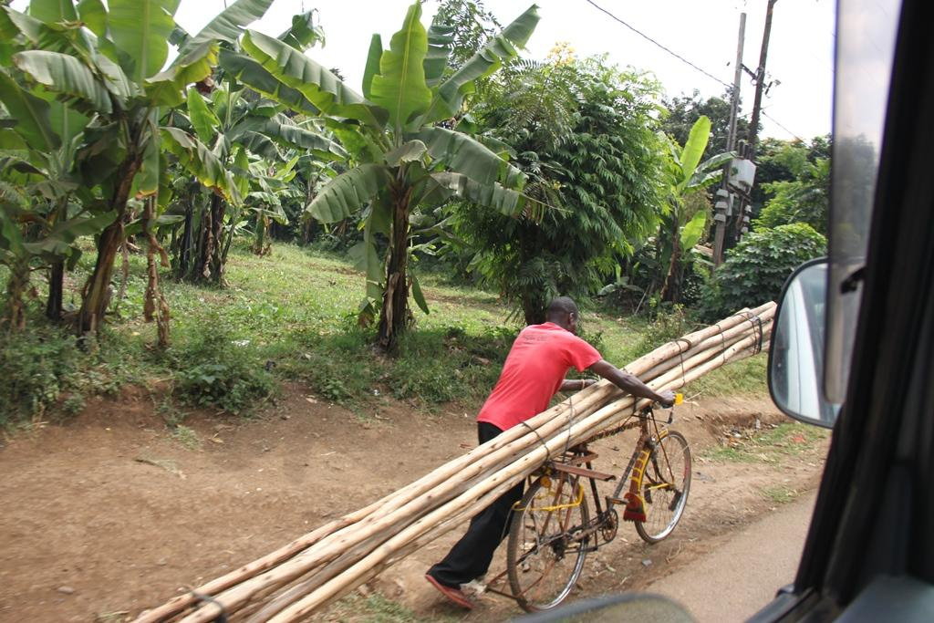 Tanzania. Andrey Filippov Photographer