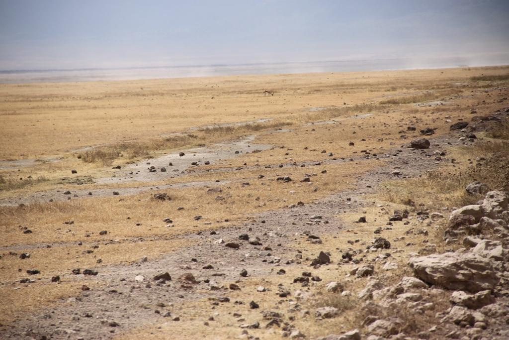 Ngorongoro Conservation Area. Andrey Filippov Photographer