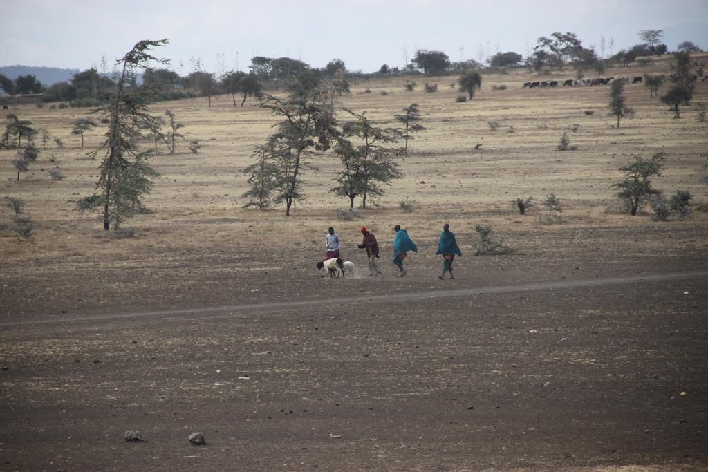Tanzania. Andrey Filippov Photographer
