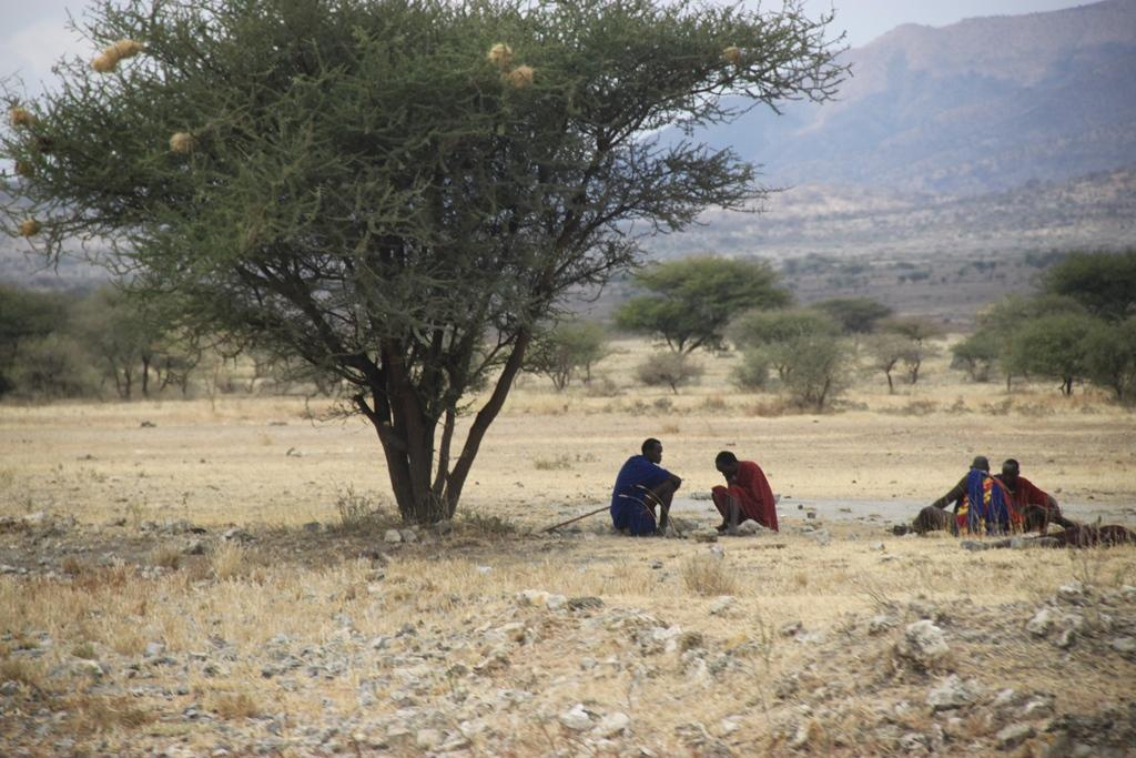 Tanzania. Andrey Filippov Photographer