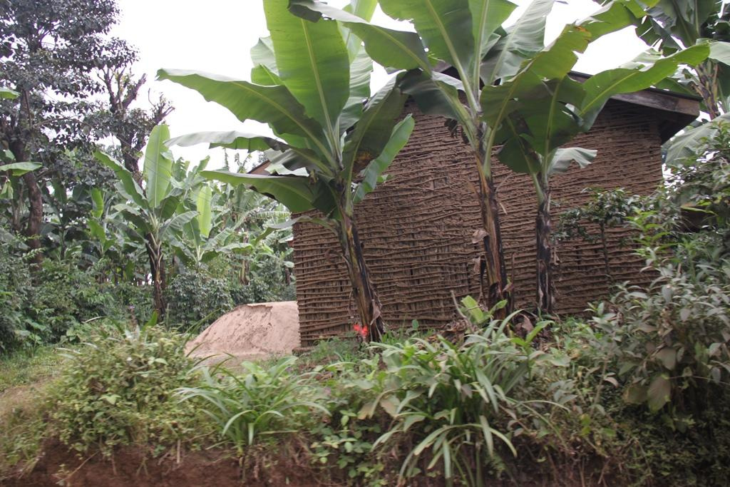 Tanzania. Andrey Filippov Photographer