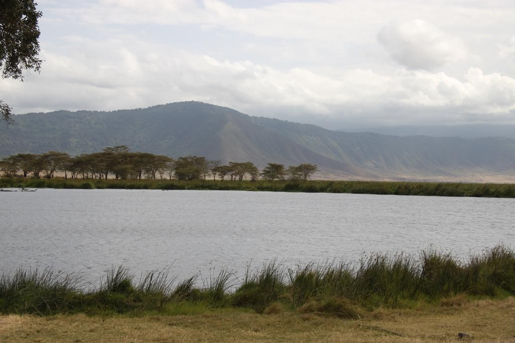 Ngorongoro Conservation Area. Andrey Filippov Photographer
