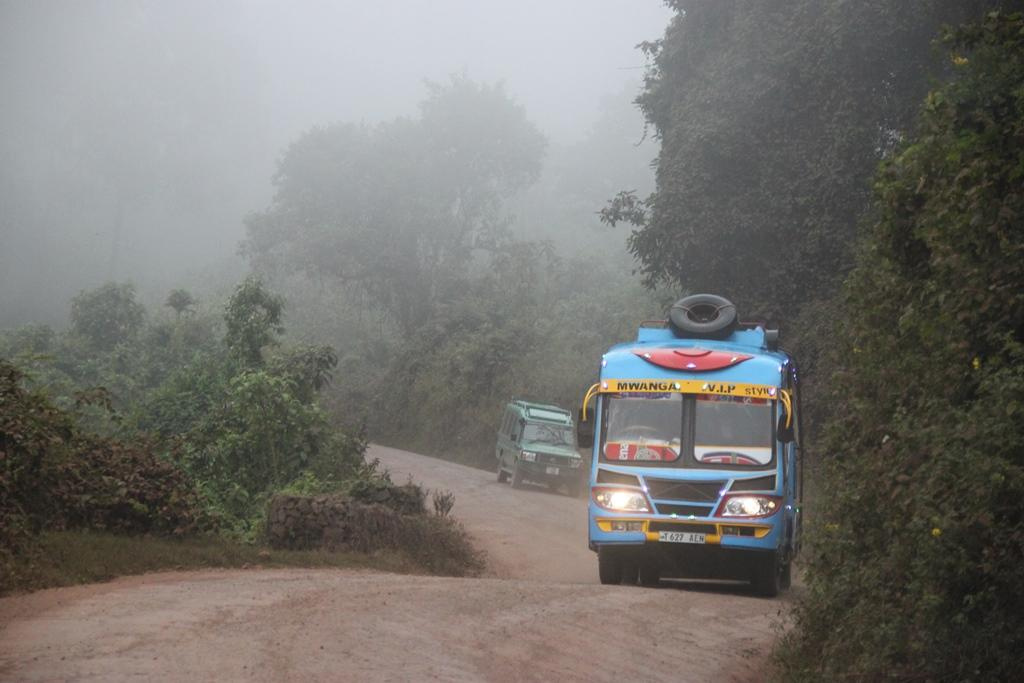 Ngorongoro Conservation Area. Andrey Filippov Photographer