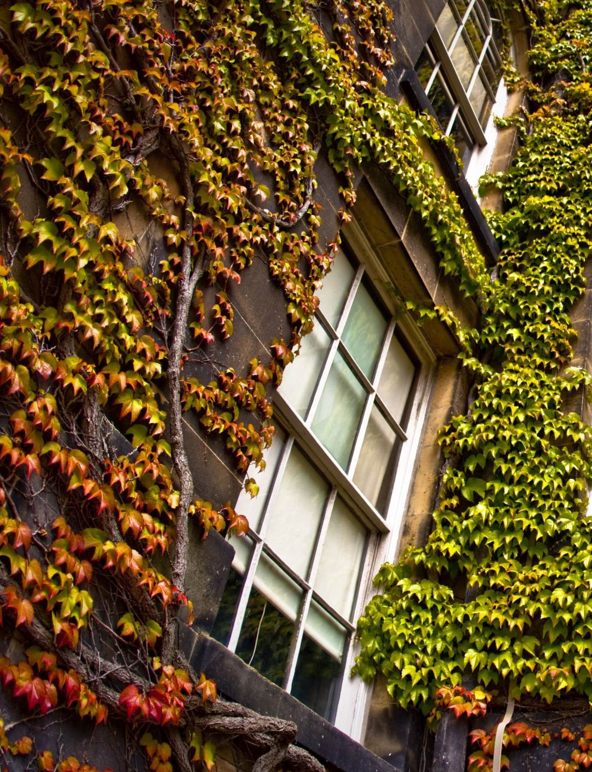 Good Jinx. Фотограф Александра Степанова