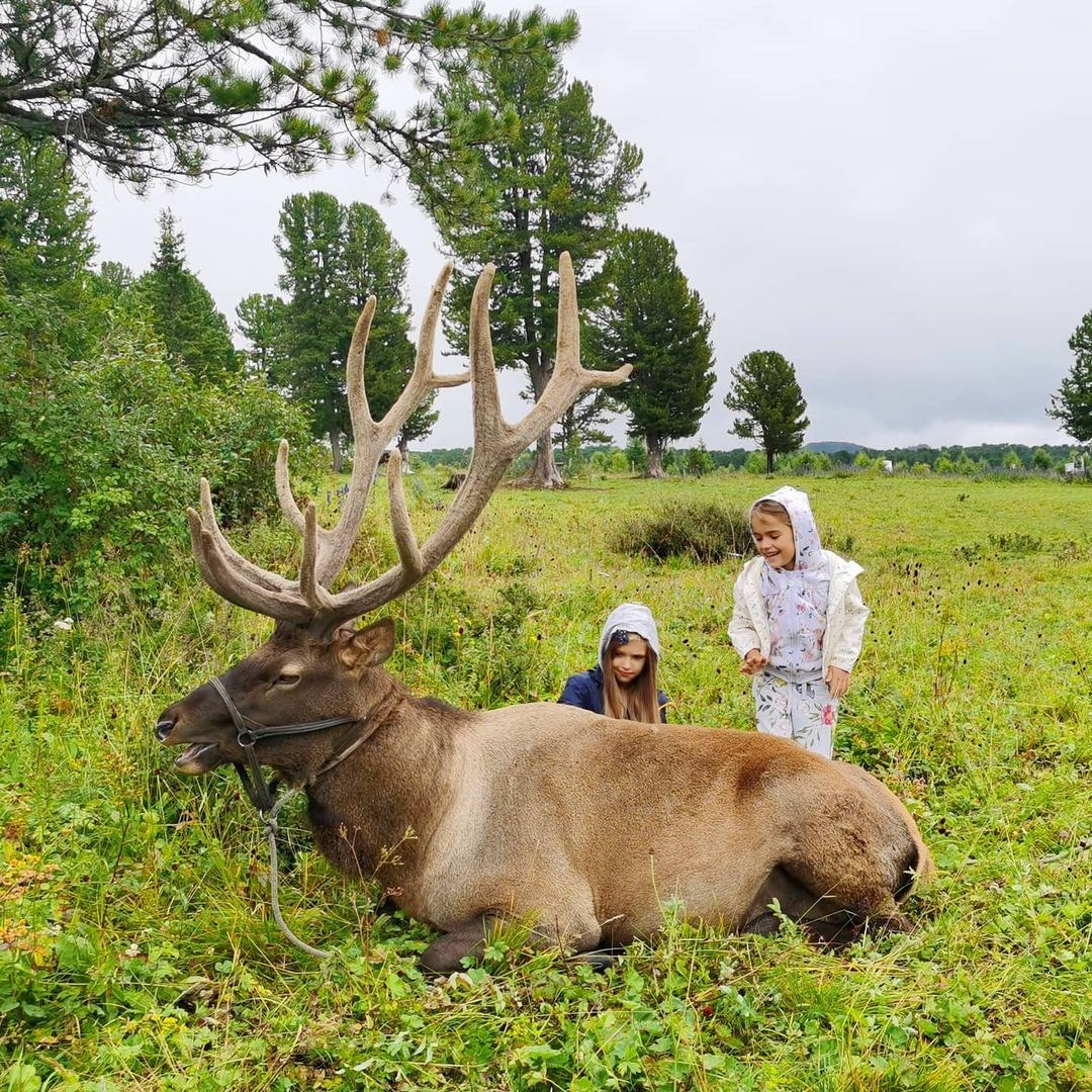 Anka`s Instagram. Заставка