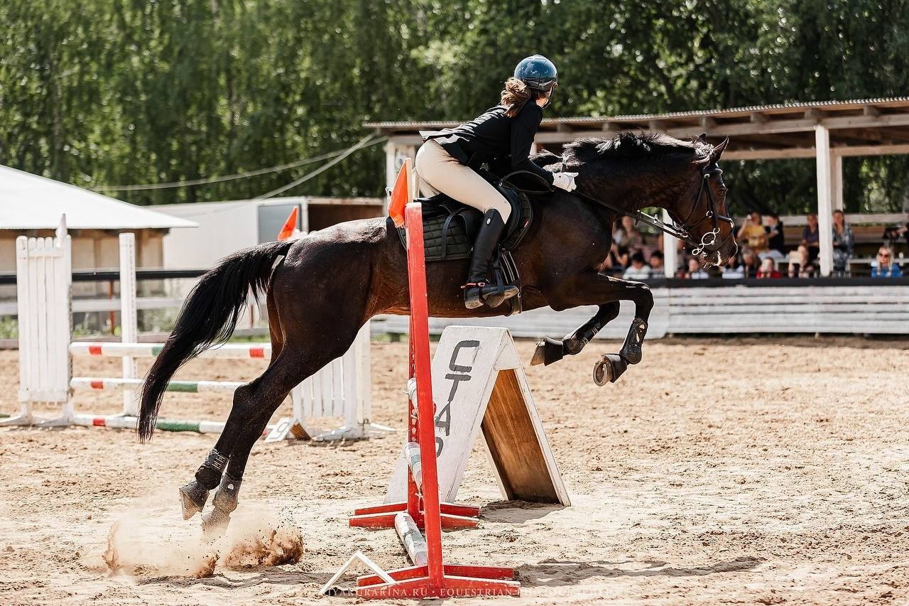 ЛЕТНИЙ КУБОК КСК «СОЗВЕЗДИЕ» по КОНКУРУ. Конный фотограф Куракина Дарья • Фотосессии с лошадьми