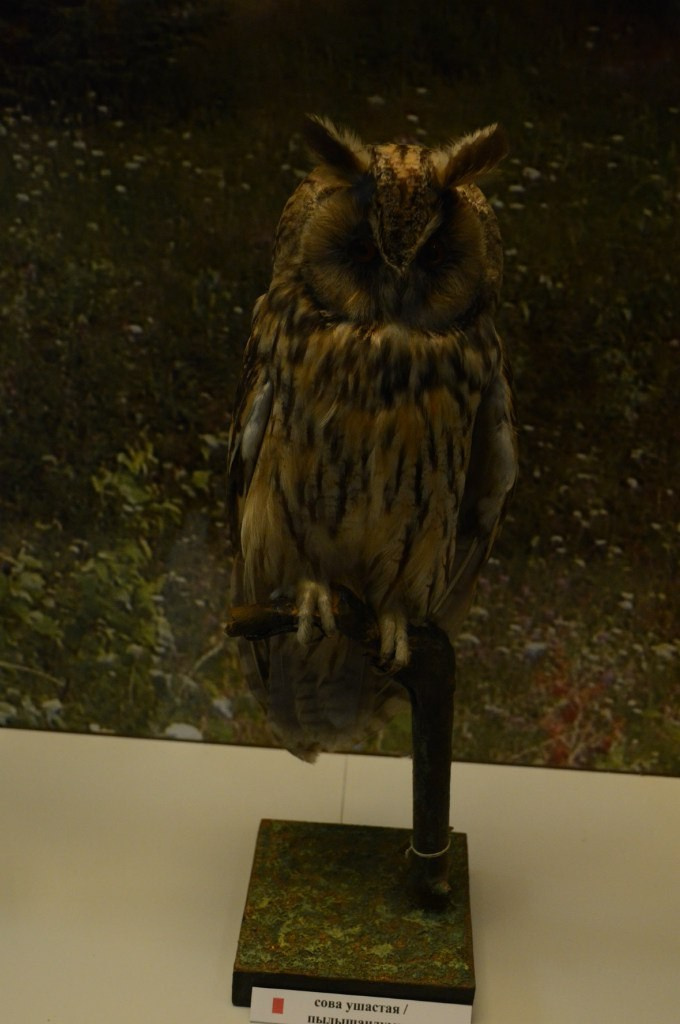 Йошкар-Ола и Чебоксары | 19-20.03.2016. Галерея Фантим