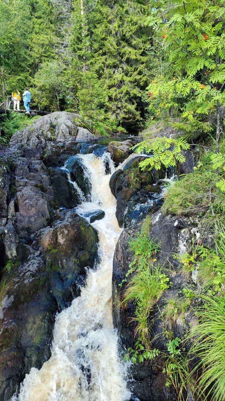 Карелия | 16-18.08.24. Галерея Фантим