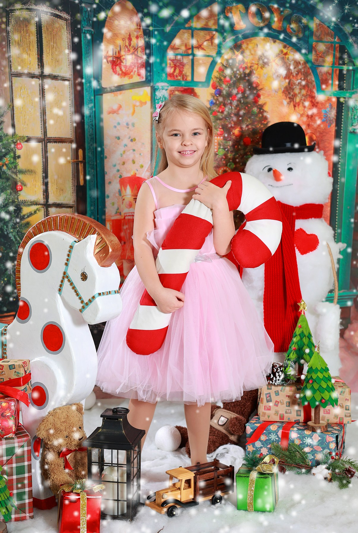 Магазин игрушек. Выпускные альбомы в Иваново в детский сад и школу. Александр и Светлана Янкины