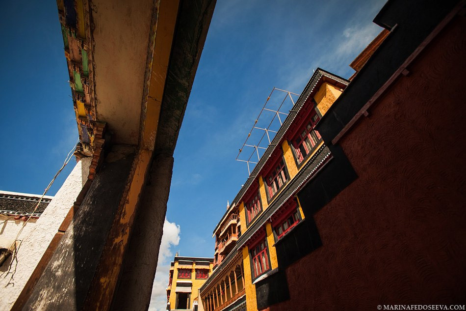 Tibet, Ladakh, Leh, 2012. Marina Kanygina (Fedoseeva) photography