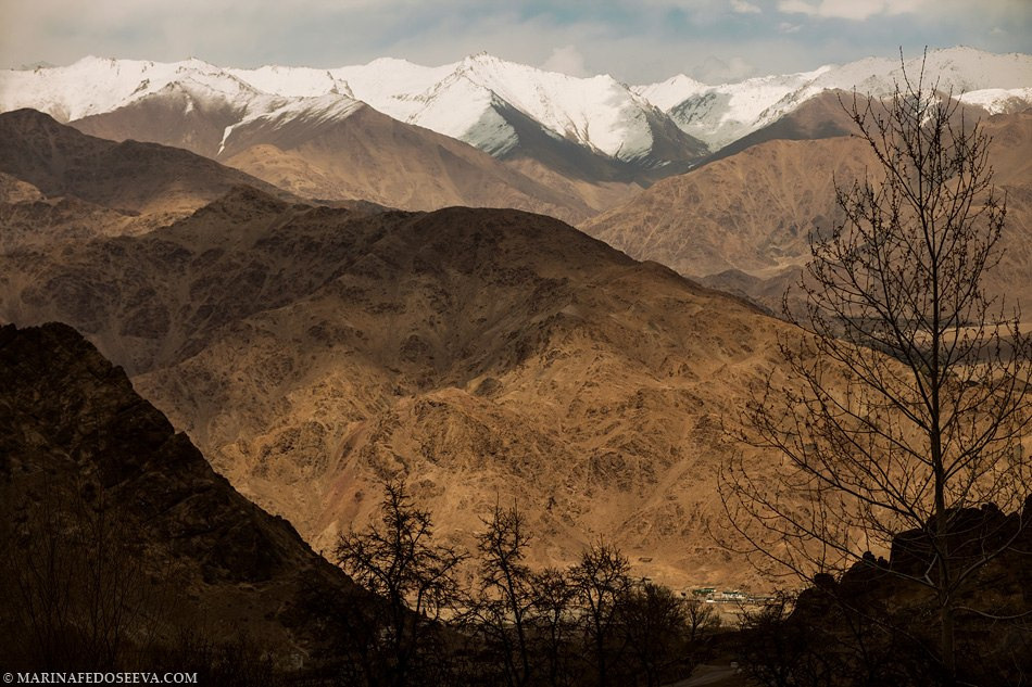Tibet, Ladakh, Leh, 2012. Marina Kanygina (Fedoseeva) photography