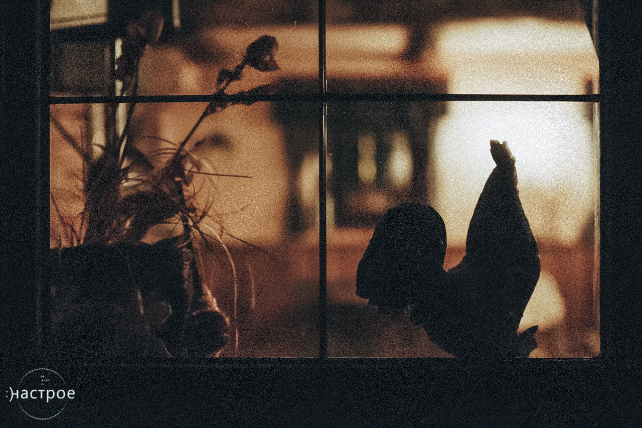 Alina & Samuel (wedding in Czech Republic). Marina Kanygina (Fedoseeva) photography