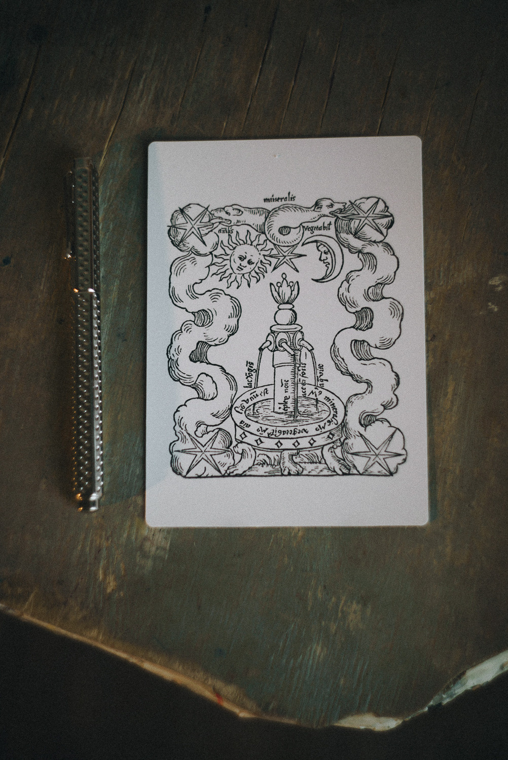 Психотерапевт Марина Львова. Фотограф Марина Каныгина (Федосеева)