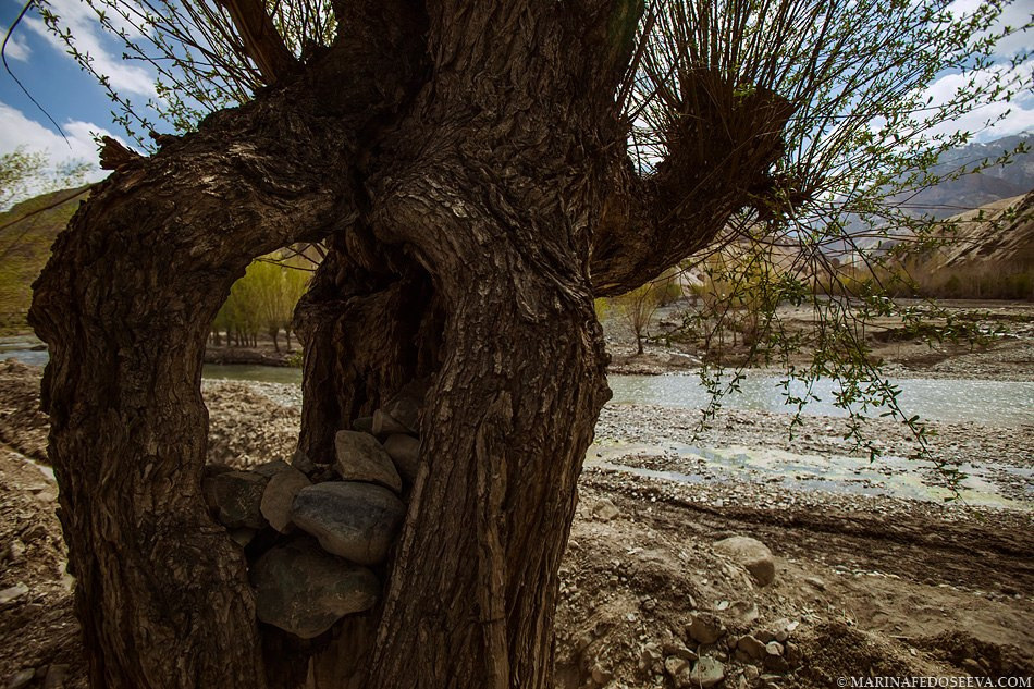 Tibet, Ladakh, Leh, 2012. Marina Kanygina (Fedoseeva) photography