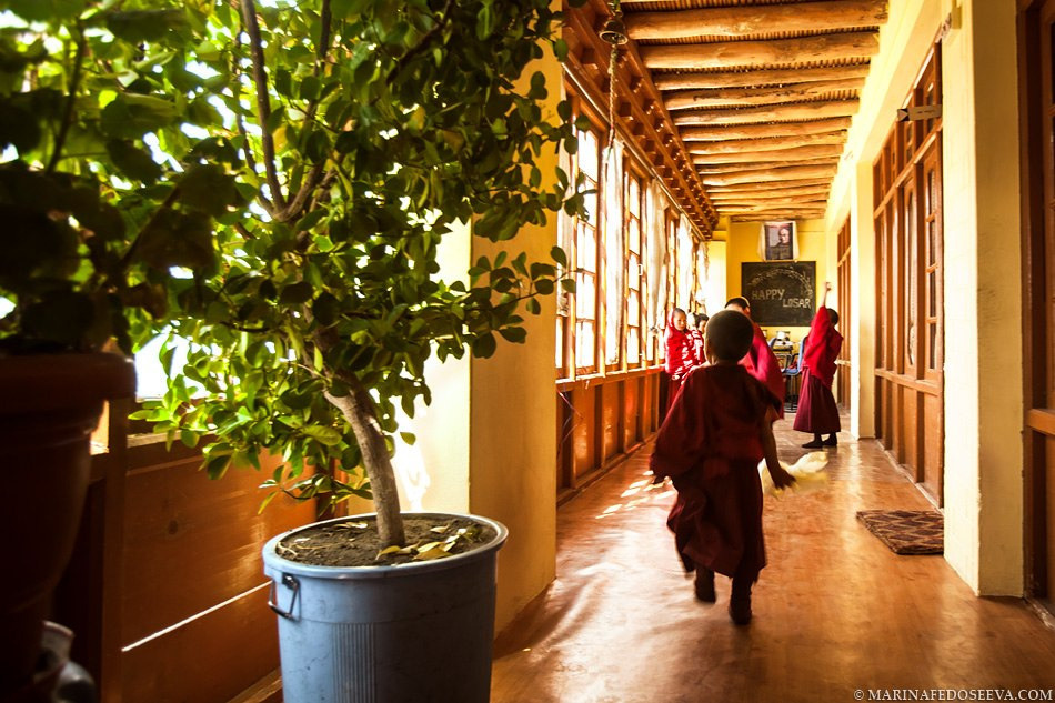 Tibet, Ladakh, Leh, 2012. Marina Kanygina (Fedoseeva) photography