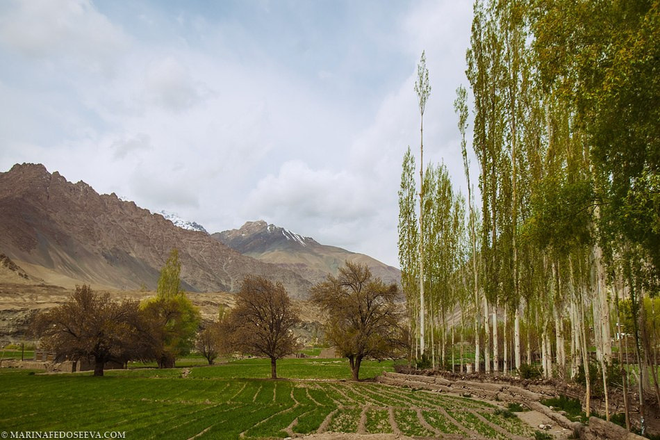 Tibet, Ladakh, Leh, 2012. Marina Kanygina (Fedoseeva) photography
