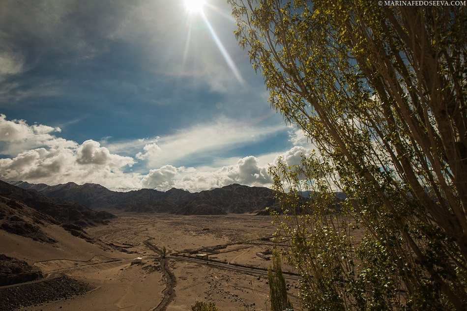 Tibet, Ladakh, Leh, 2012. Marina Kanygina (Fedoseeva) photography