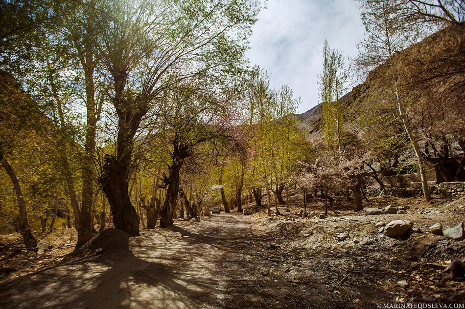 Tibet, Ladakh, Leh, 2012. Marina Kanygina (Fedoseeva) photography