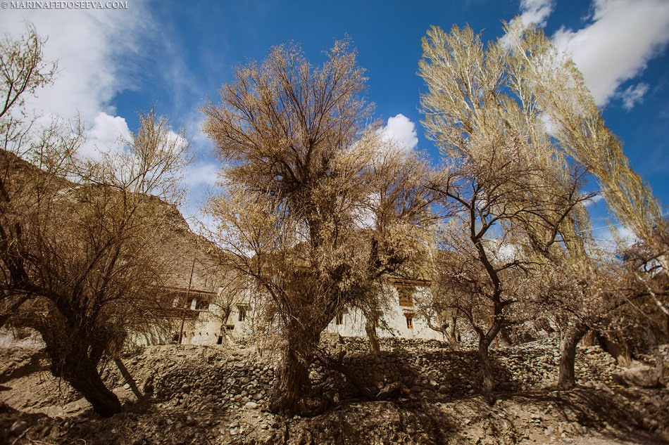 Tibet, Ladakh, Leh, 2012. Marina Kanygina (Fedoseeva) photography