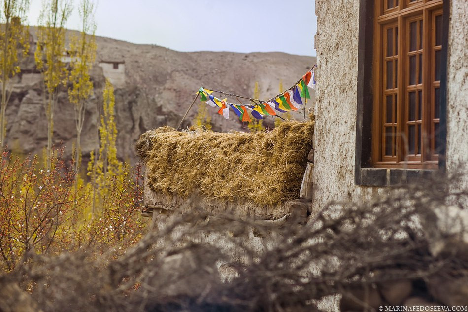 Tibet, Ladakh, Leh, 2012. Marina Kanygina (Fedoseeva) photography