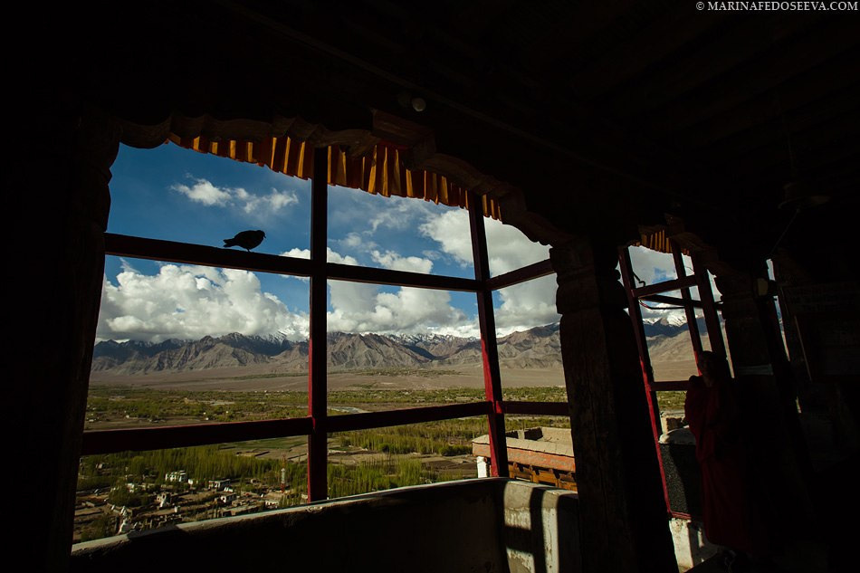 Tibet, Ladakh, Leh, 2012. Marina Kanygina (Fedoseeva) photography