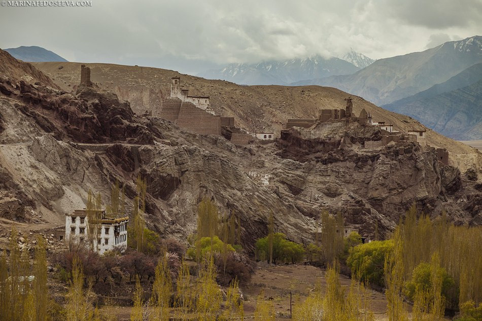 Tibet, Ladakh, Leh, 2012. Marina Kanygina (Fedoseeva) photography