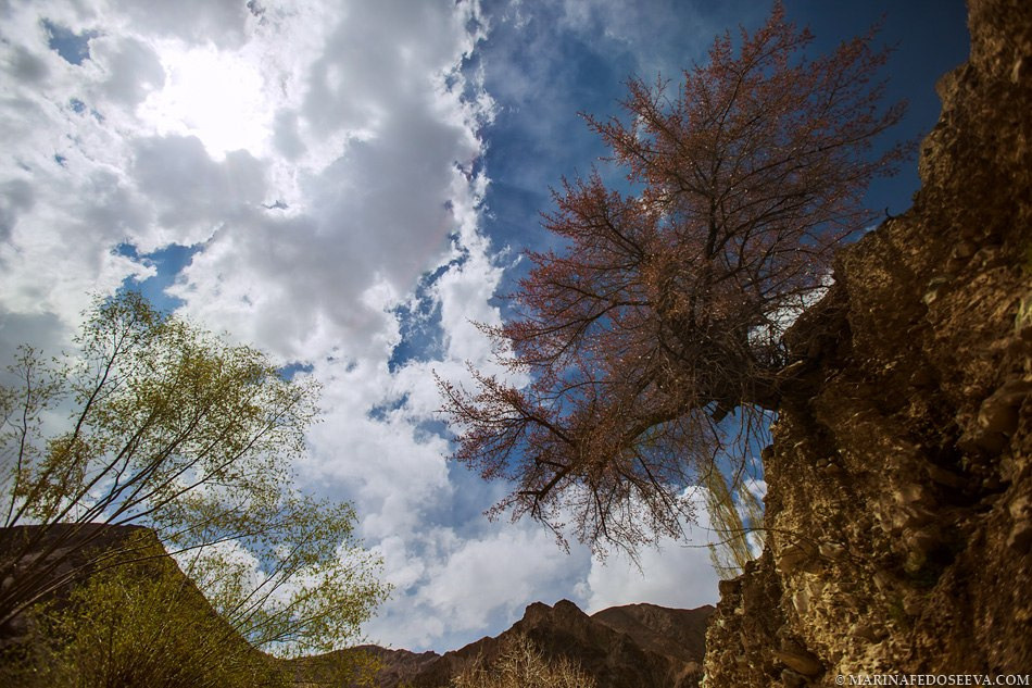 Tibet, Ladakh, Leh, 2012. Marina Kanygina (Fedoseeva) photography