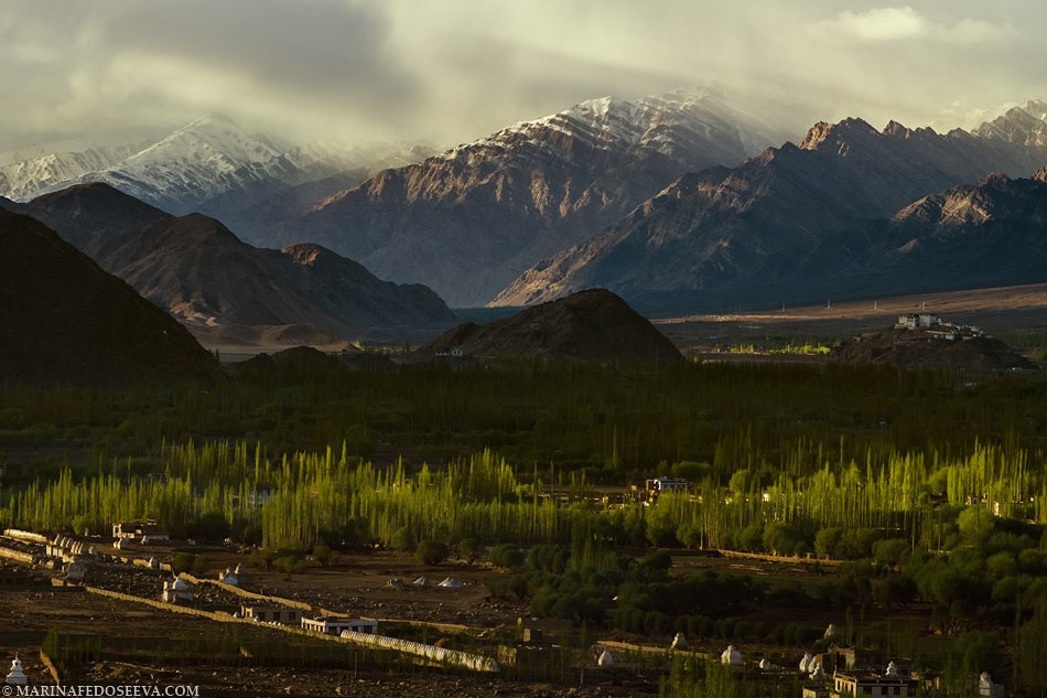 Tibet, Ladakh, Leh, 2012. Marina Kanygina (Fedoseeva) photography