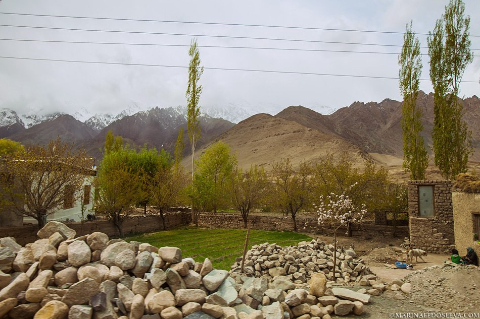 Tibet, Ladakh, Leh, 2012. Marina Kanygina (Fedoseeva) photography