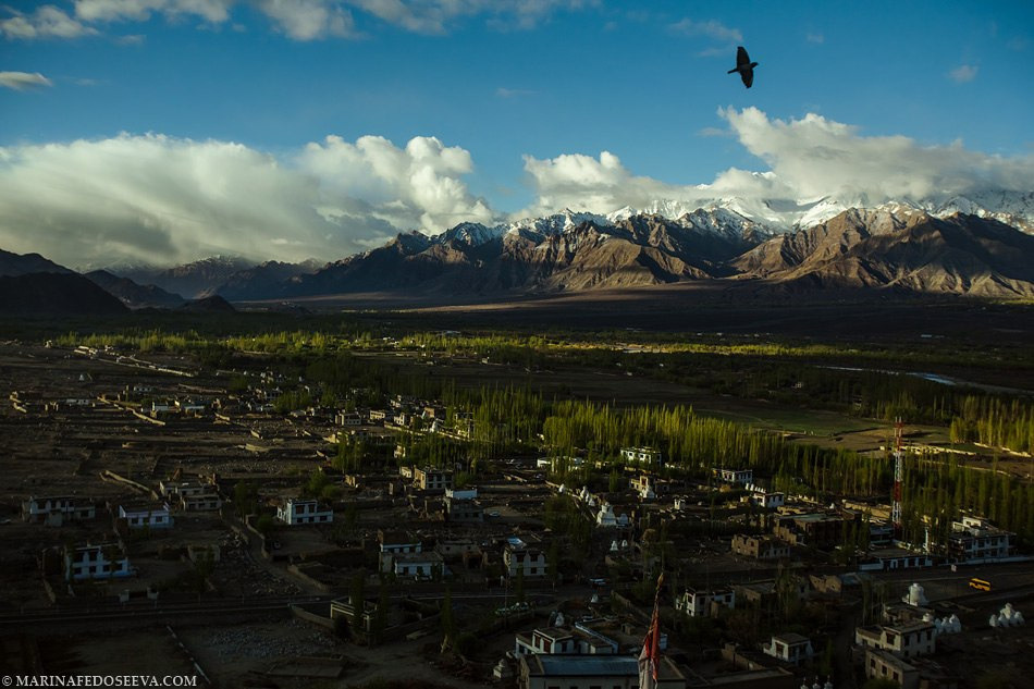 Tibet, Ladakh, Leh, 2012. Marina Kanygina (Fedoseeva) photography