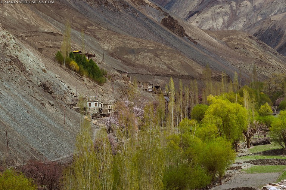 Tibet, Ladakh, Leh, 2012. Marina Kanygina (Fedoseeva) photography